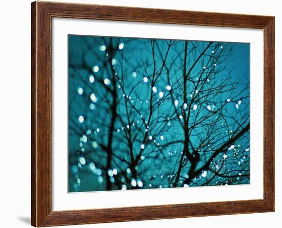 Tree at Night with Lights-Myan Soffia-Framed Photographic Print