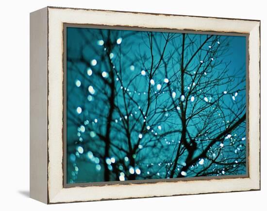 Tree at Night with Lights-Myan Soffia-Framed Premier Image Canvas