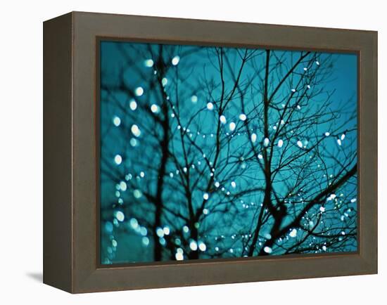 Tree at Night with Lights-Myan Soffia-Framed Premier Image Canvas