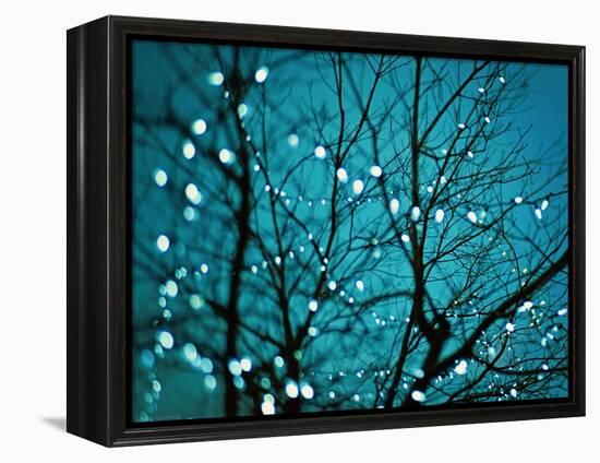 Tree at Night with Lights-Myan Soffia-Framed Premier Image Canvas