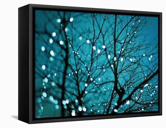 Tree at Night with Lights-Myan Soffia-Framed Premier Image Canvas