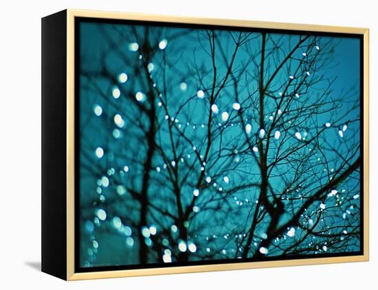 Tree at Night with Lights-Myan Soffia-Framed Premier Image Canvas