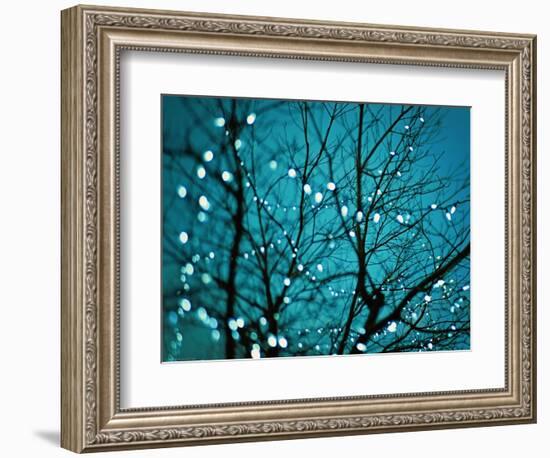 Tree at Night with Lights-Myan Soffia-Framed Photographic Print