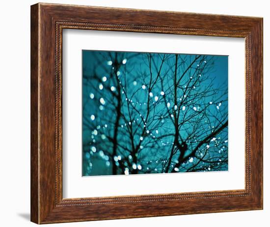 Tree at Night with Lights-Myan Soffia-Framed Photographic Print