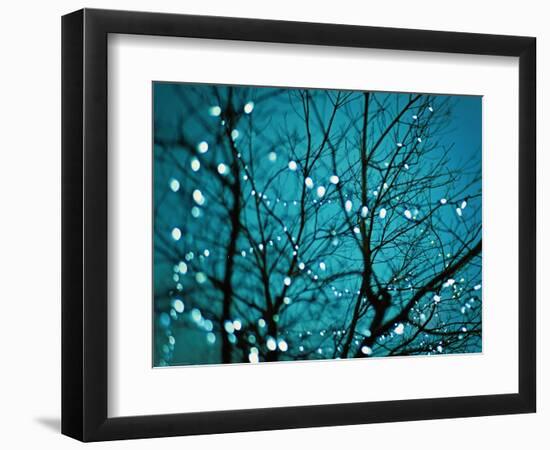 Tree at Night with Lights-Myan Soffia-Framed Photographic Print