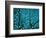 Tree at Night with Lights-Myan Soffia-Framed Photographic Print