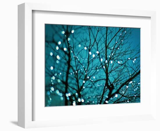 Tree at Night with Lights-Myan Soffia-Framed Photographic Print