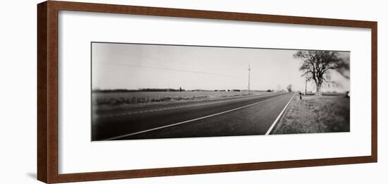 Tree at the Roadside, Maryland, USA-null-Framed Photographic Print