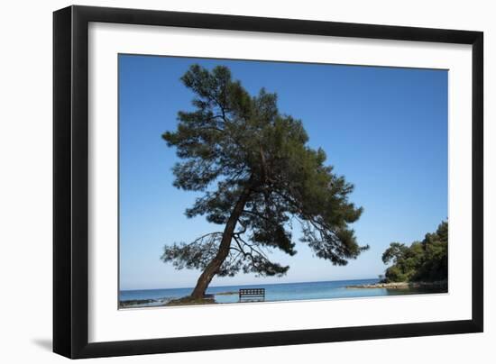 Tree At The Sea-István Nagy-Framed Photographic Print