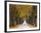 Tree Avenue, Old Tree Avenue, Bielefeld, Nordrhein Westfalen, Germany-Thorsten Milse-Framed Photographic Print