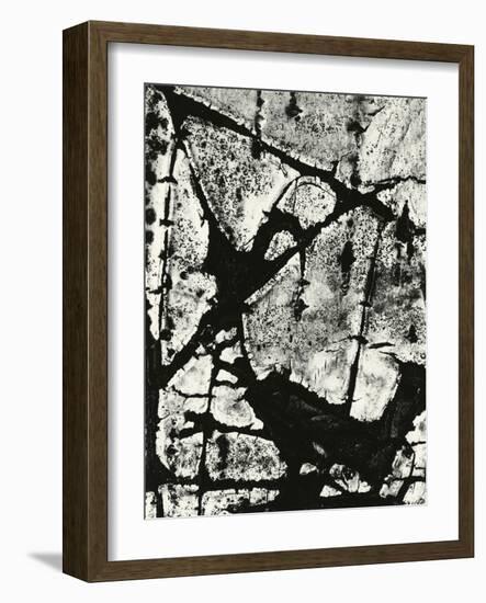 Tree Bark, 1970-Brett Weston-Framed Photographic Print