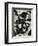 Tree Bark, 1972-Brett Weston-Framed Photographic Print