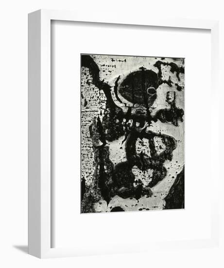 Tree Bark, 1972-Brett Weston-Framed Photographic Print