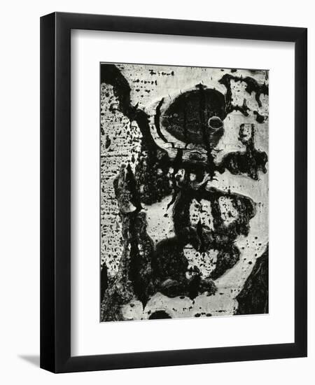 Tree Bark, 1972-Brett Weston-Framed Photographic Print