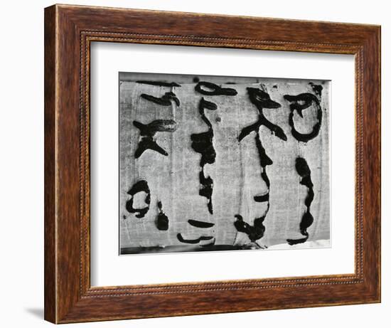 Tree Bark, c. 1970-Brett Weston-Framed Photographic Print