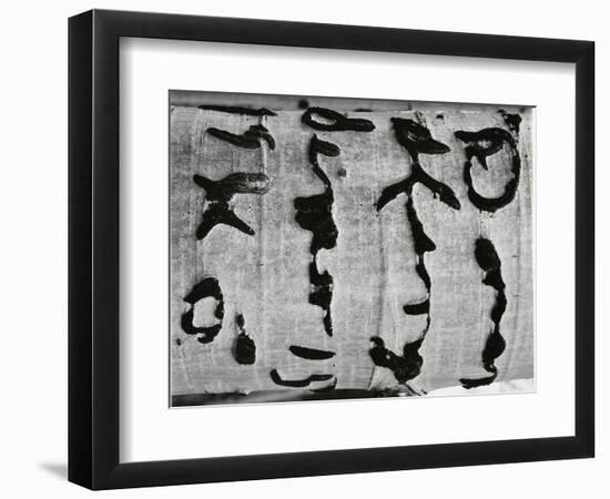 Tree Bark, c. 1970-Brett Weston-Framed Photographic Print