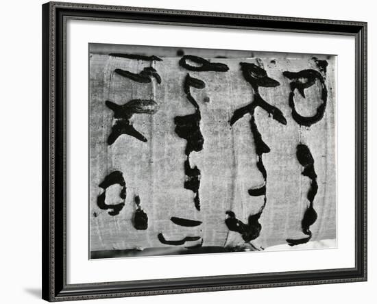 Tree Bark, c. 1970-Brett Weston-Framed Photographic Print