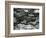 Tree Bark, c.1970-Brett Weston-Framed Photographic Print