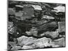 Tree Bark, c.1970-Brett Weston-Mounted Photographic Print