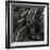 Tree Bark, c.1975-Brett Weston-Framed Photographic Print