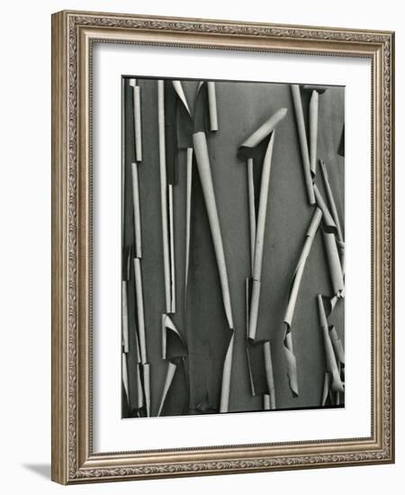 Tree Bark, c.1975-Brett Weston-Framed Photographic Print