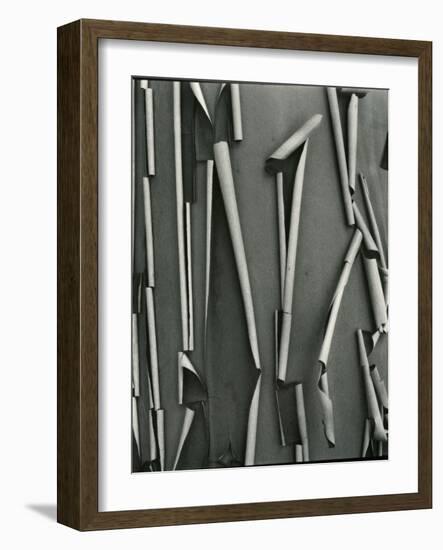 Tree Bark, c.1975-Brett Weston-Framed Photographic Print