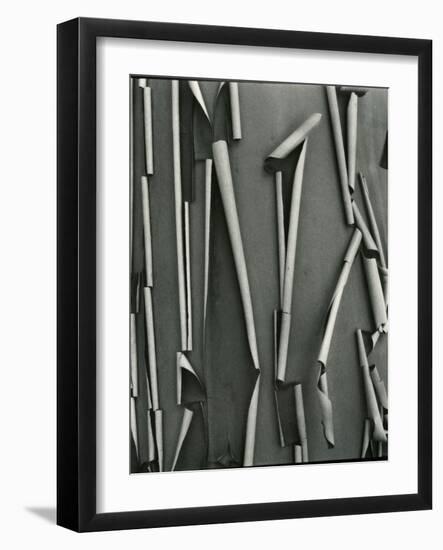 Tree Bark, c.1975-Brett Weston-Framed Photographic Print