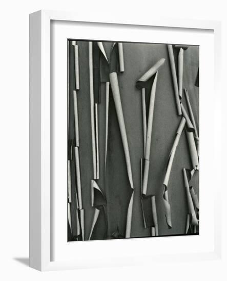 Tree Bark, c.1975-Brett Weston-Framed Photographic Print