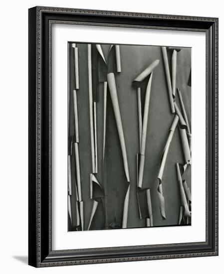 Tree Bark, c.1975-Brett Weston-Framed Photographic Print