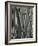 Tree Bark, c.1975-Brett Weston-Framed Photographic Print