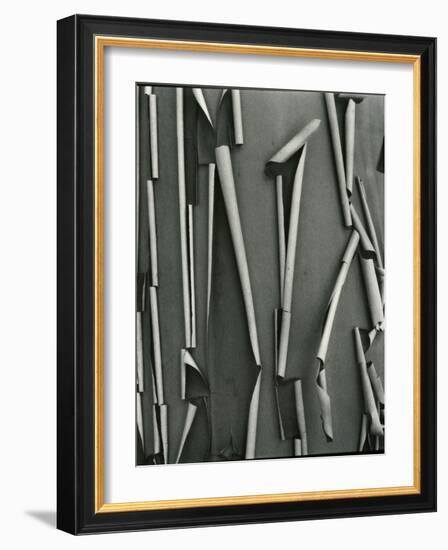 Tree Bark, c.1975-Brett Weston-Framed Photographic Print