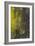 Tree Bark with Moss and Lichen-Anna Miller-Framed Photographic Print