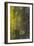 Tree Bark with Moss and Lichen-Anna Miller-Framed Photographic Print