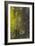 Tree Bark with Moss and Lichen-Anna Miller-Framed Photographic Print