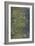 Tree Bark with Moss and Lichen-Anna Miller-Framed Photographic Print