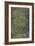 Tree Bark with Moss and Lichen-Anna Miller-Framed Photographic Print