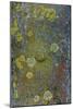 Tree Bark with Moss and Lichen-Anna Miller-Mounted Photographic Print