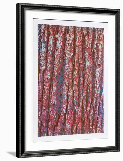 Tree Bark-Max Epstein-Framed Limited Edition