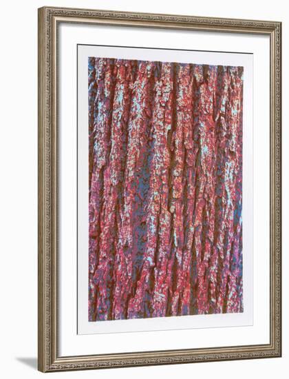 Tree Bark-Max Epstein-Framed Limited Edition