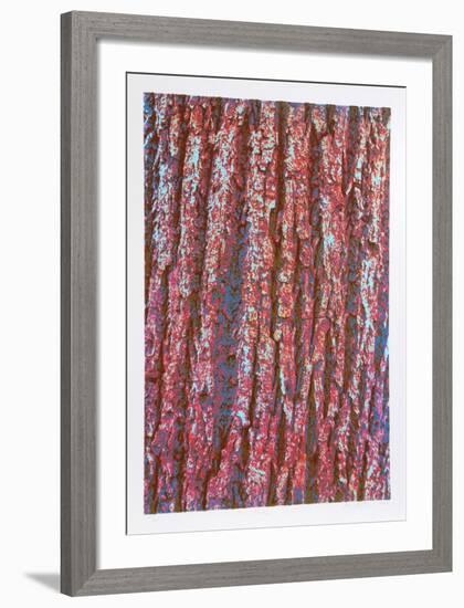 Tree Bark-Max Epstein-Framed Limited Edition