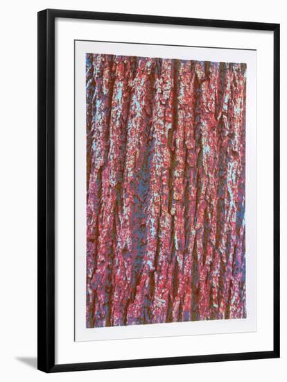 Tree Bark-Max Epstein-Framed Limited Edition