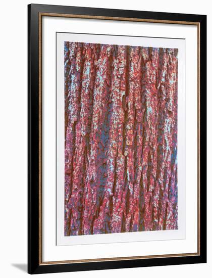 Tree Bark-Max Epstein-Framed Limited Edition