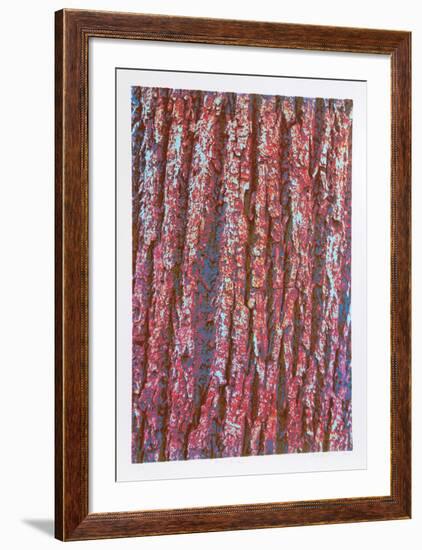 Tree Bark-Max Epstein-Framed Limited Edition