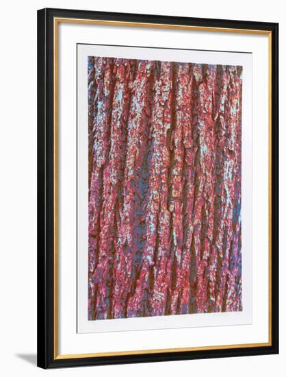 Tree Bark-Max Epstein-Framed Limited Edition