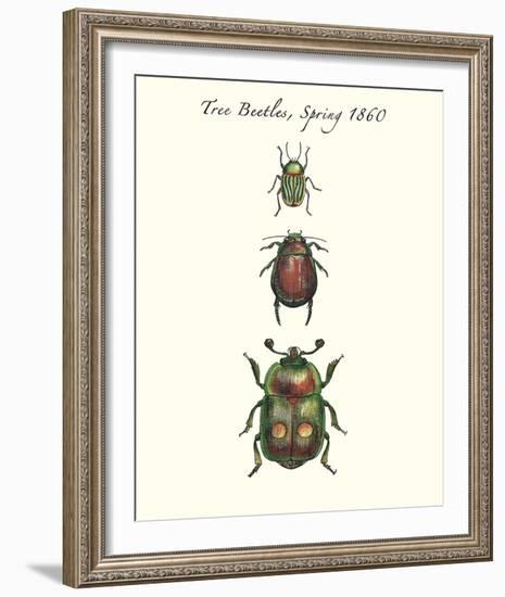 Tree Beetles-Maria Mendez-Framed Giclee Print