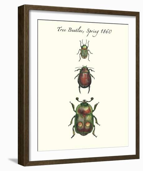 Tree Beetles-Maria Mendez-Framed Giclee Print