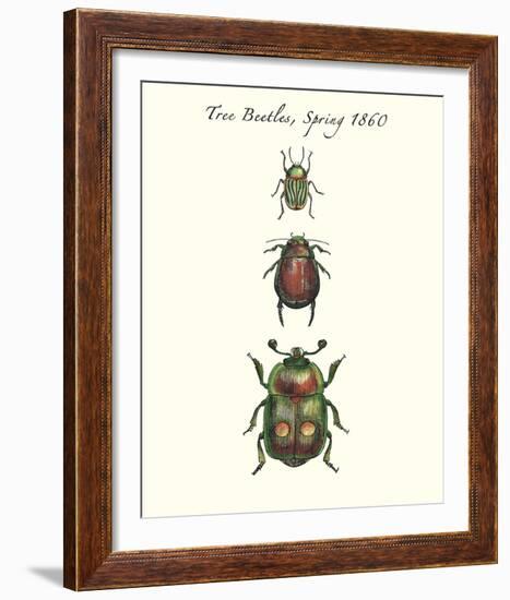 Tree Beetles-Maria Mendez-Framed Giclee Print