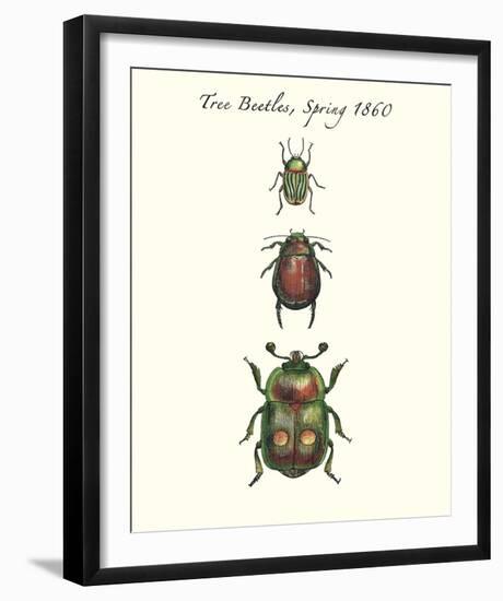 Tree Beetles-Maria Mendez-Framed Giclee Print