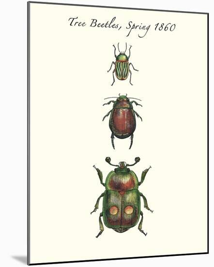 Tree Beetles-Maria Mendez-Mounted Giclee Print