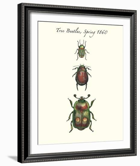 Tree Beetles-Maria Mendez-Framed Giclee Print